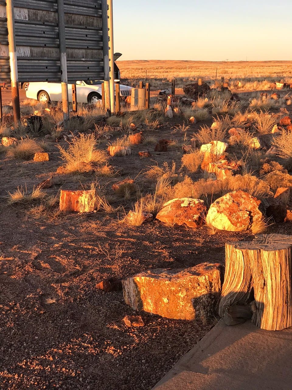 Dobell Ranch is so awesome!  Rhonda was so wonderful. Beautiful place and exceptional wood.  Love this place.