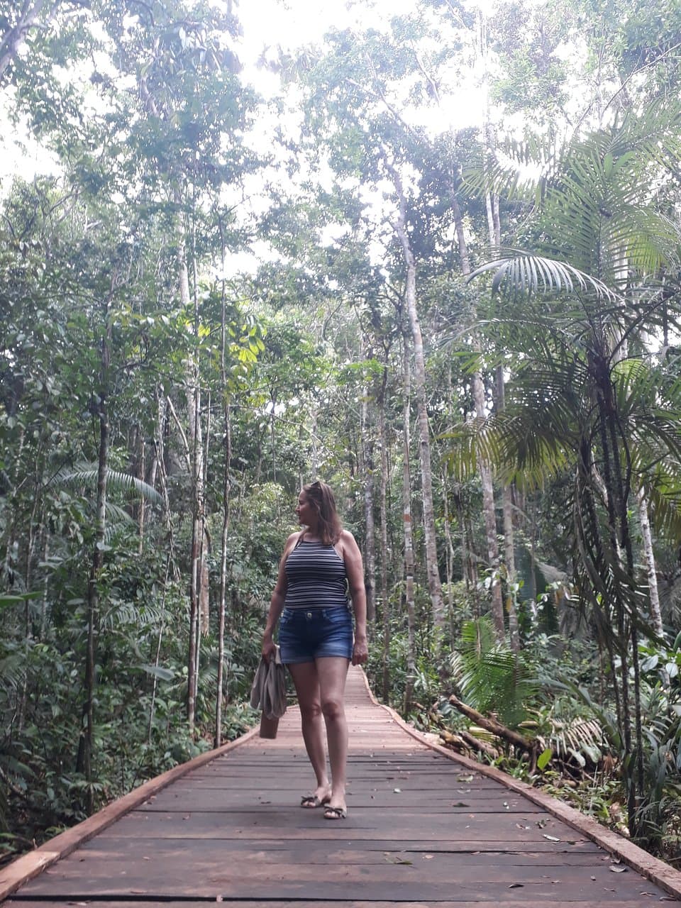 Passarela de madeira em uma das trilhas