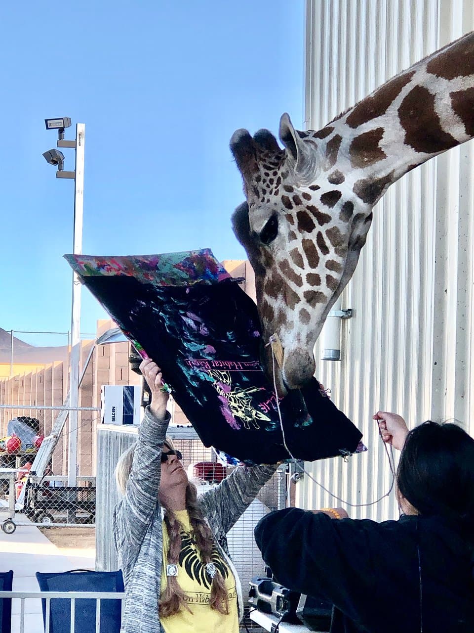 Lion Habitat Ranch Las Vegas