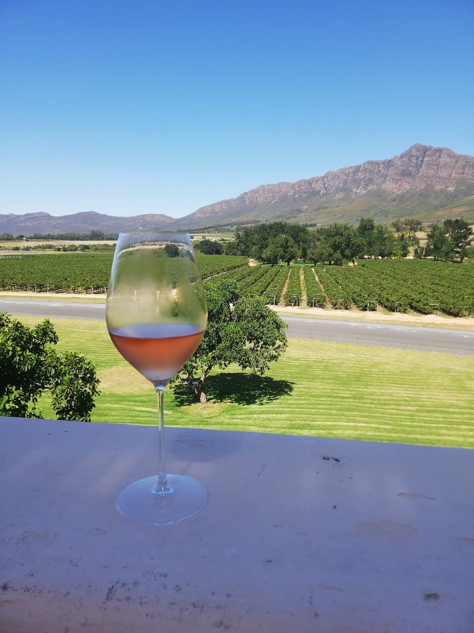 Krone Twee Jonge Gezellen