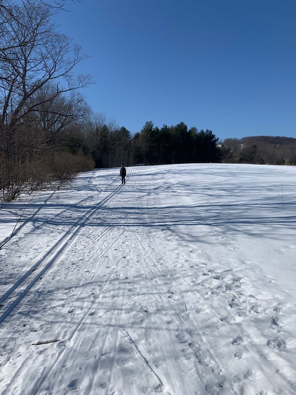 Hickory Hills Park and Ski Area