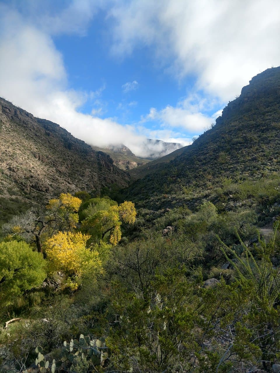 Dog Canyon in the fall