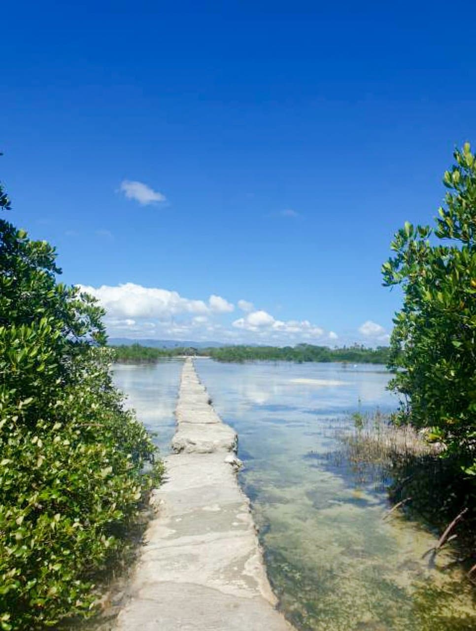 Olango Island Wildlife Sanctuary