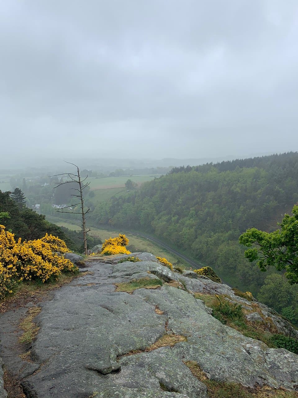 The views from the top of the Scalp stretch right down the valley. The rock formations are amazing as are the forests in the area.
