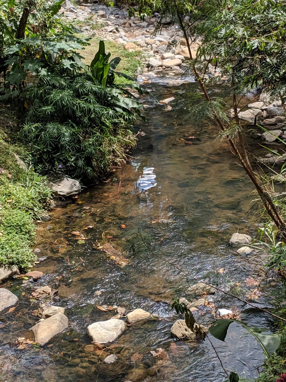 Little pool in stream of Parque Lineal La Presidenta.