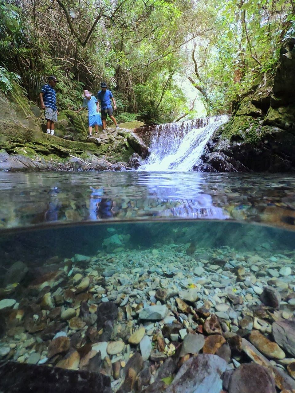 Image by Andy MacDonald