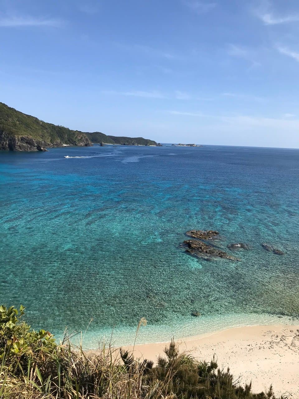慶良間ブルー🏝