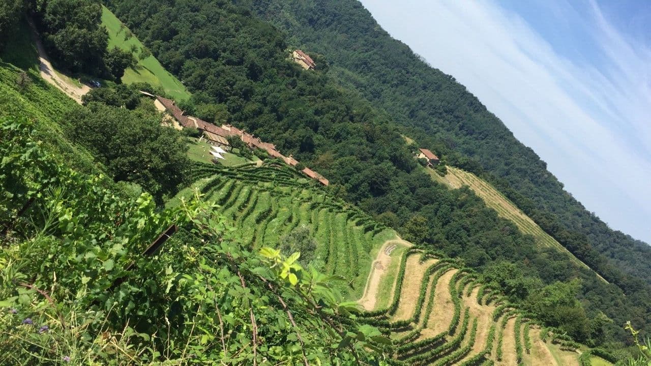 Passeggiata per il parco del Curone