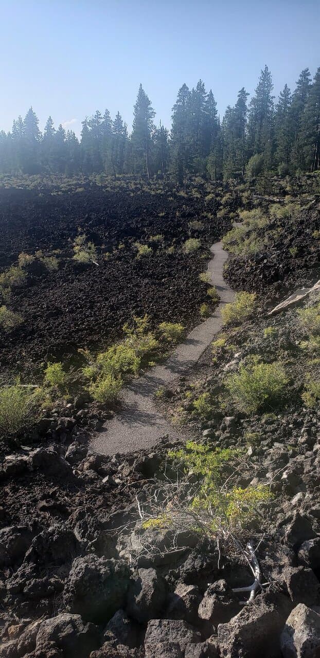 Lava Cast Forest Newberry National Volcanic Monument Oregon
