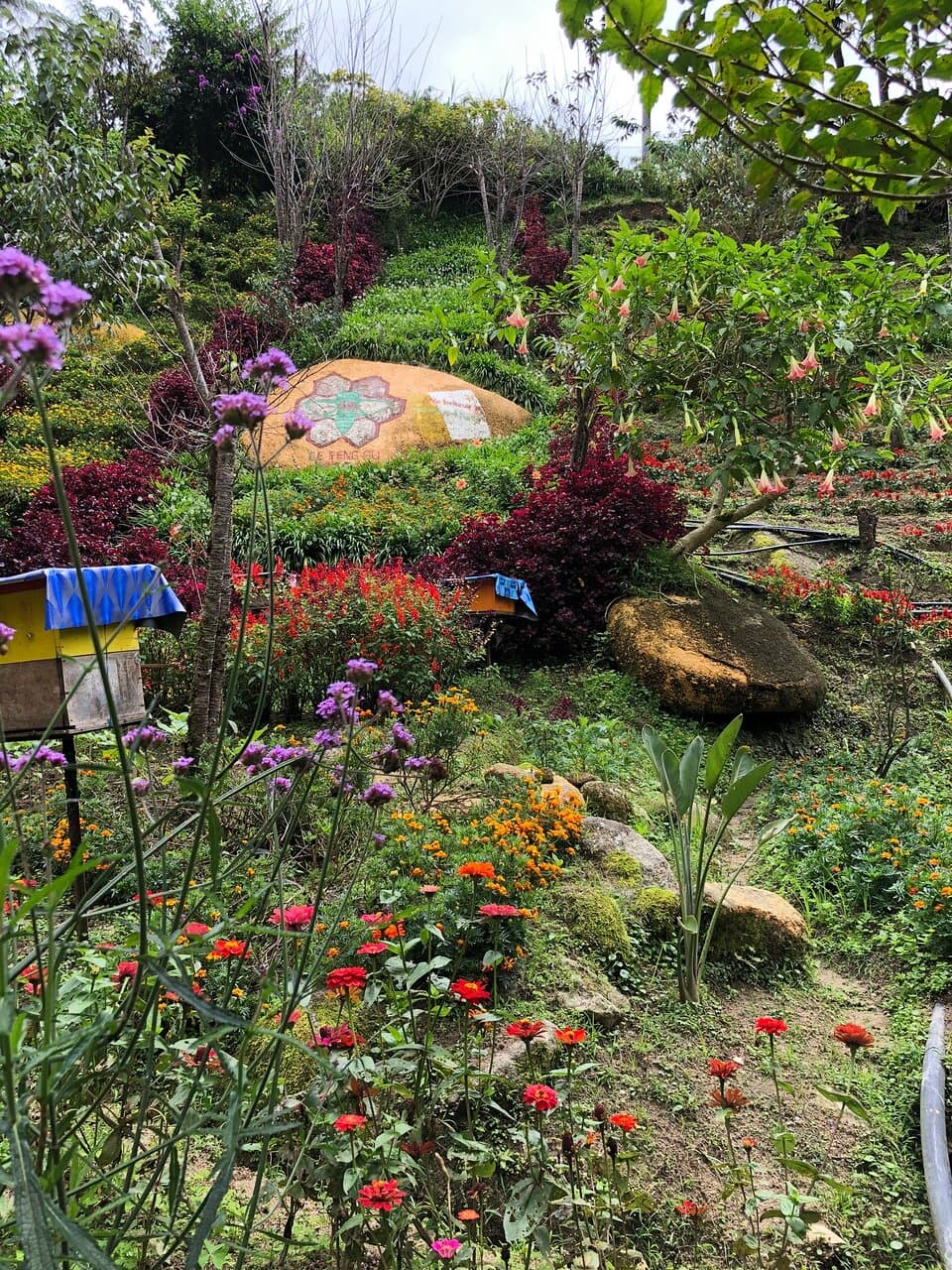 Ee Feng Gu Honey Bee Farm Brinchang