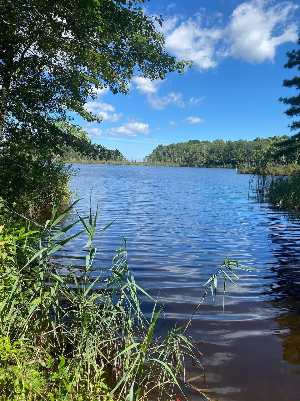 Prime Hook National Wildlife Refuge