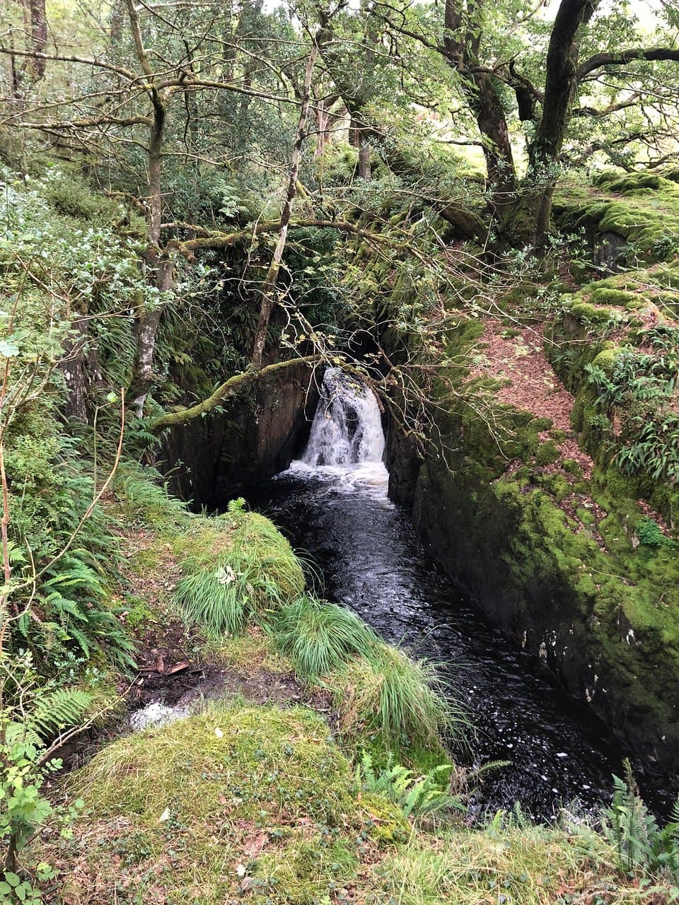 Glentrool Visitor Centre