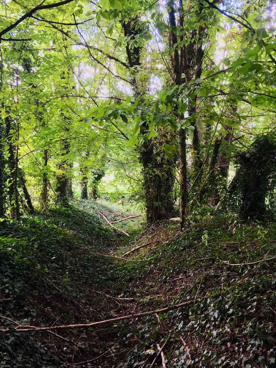 Valletta del Silenzio