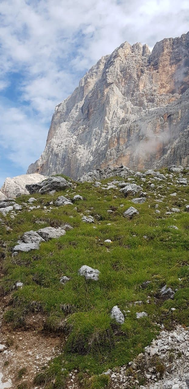 Prato del Cimon della Pala