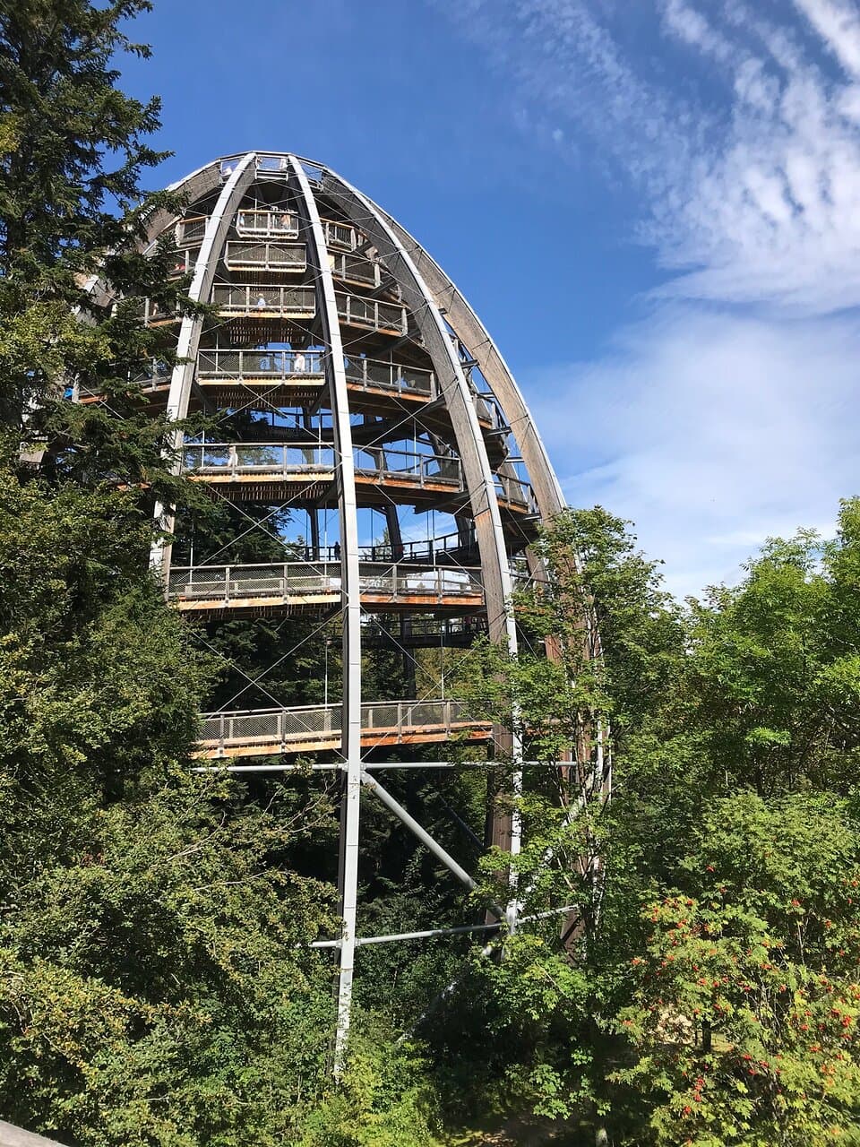 Bavarian Forest Treetop Walk