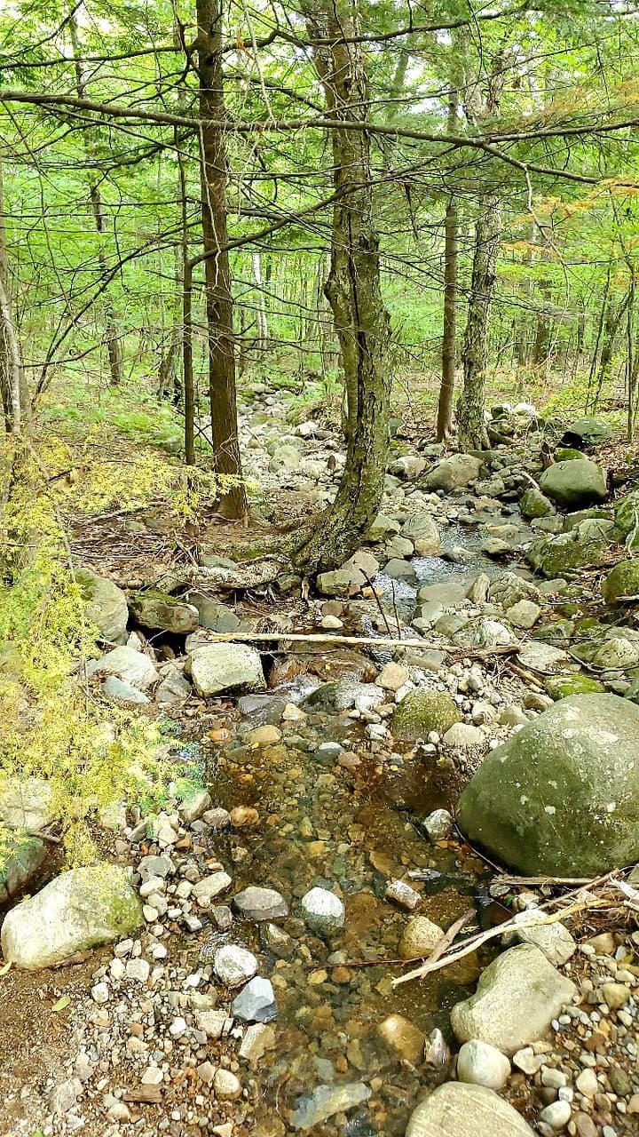 Spruce Mountain Trail