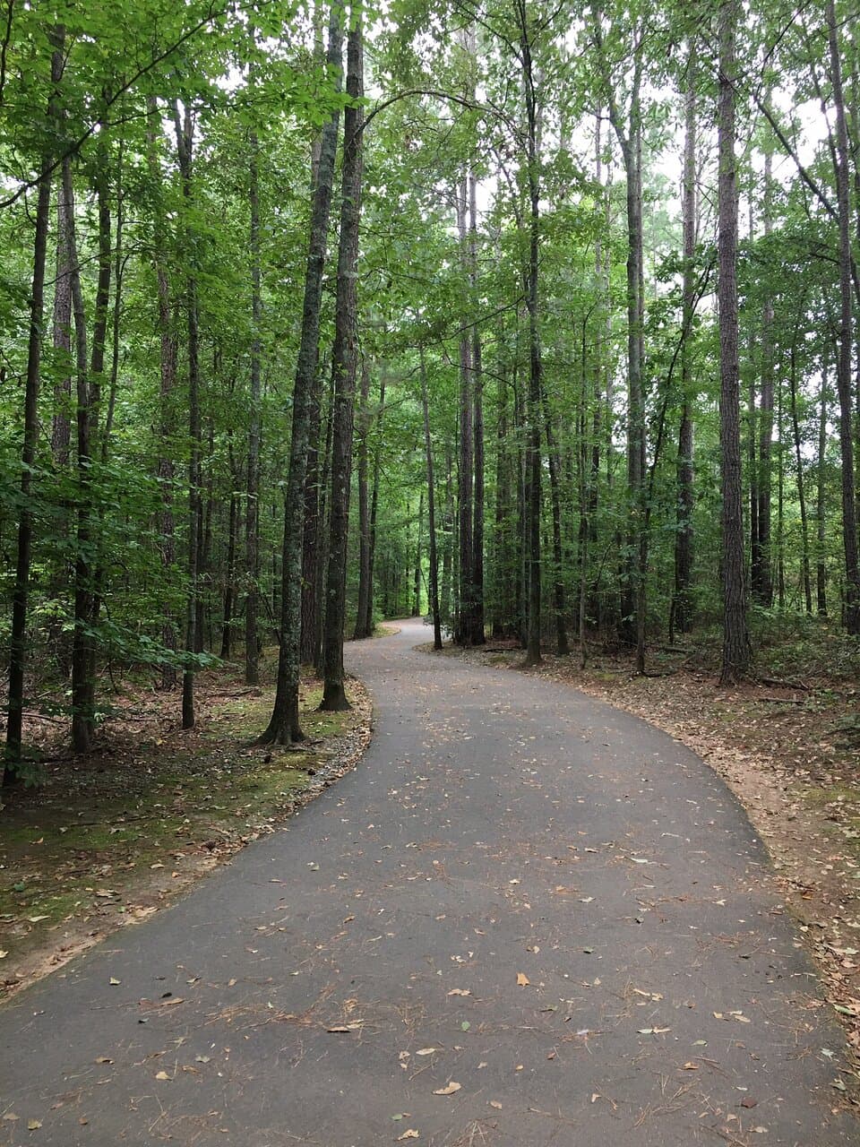 We also walked along the 1.5 mile paved trail that winds through the wood’s behind the aquatic center