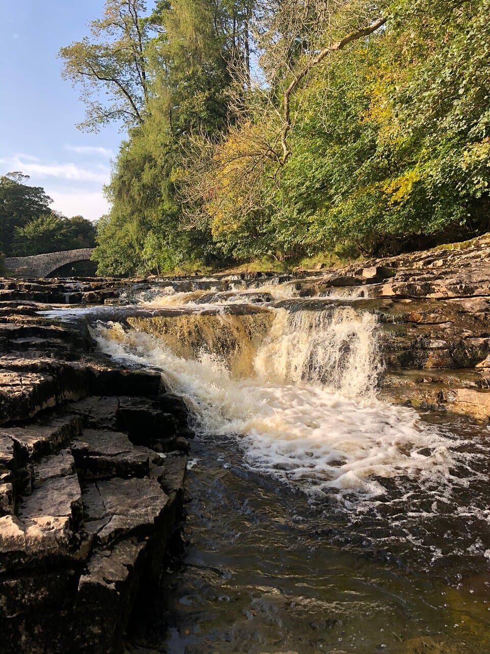 Stainforth Force