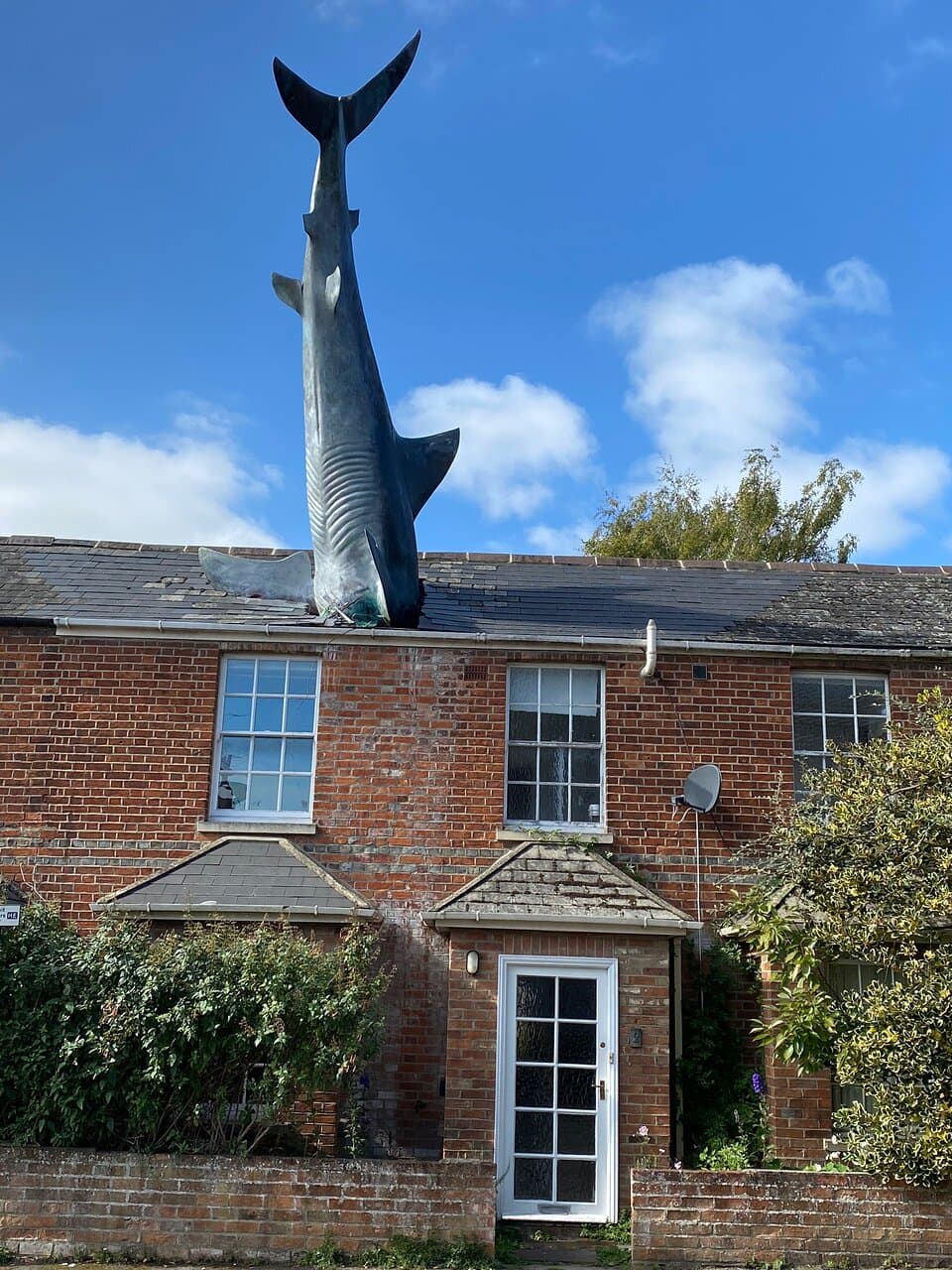 Headington Shark