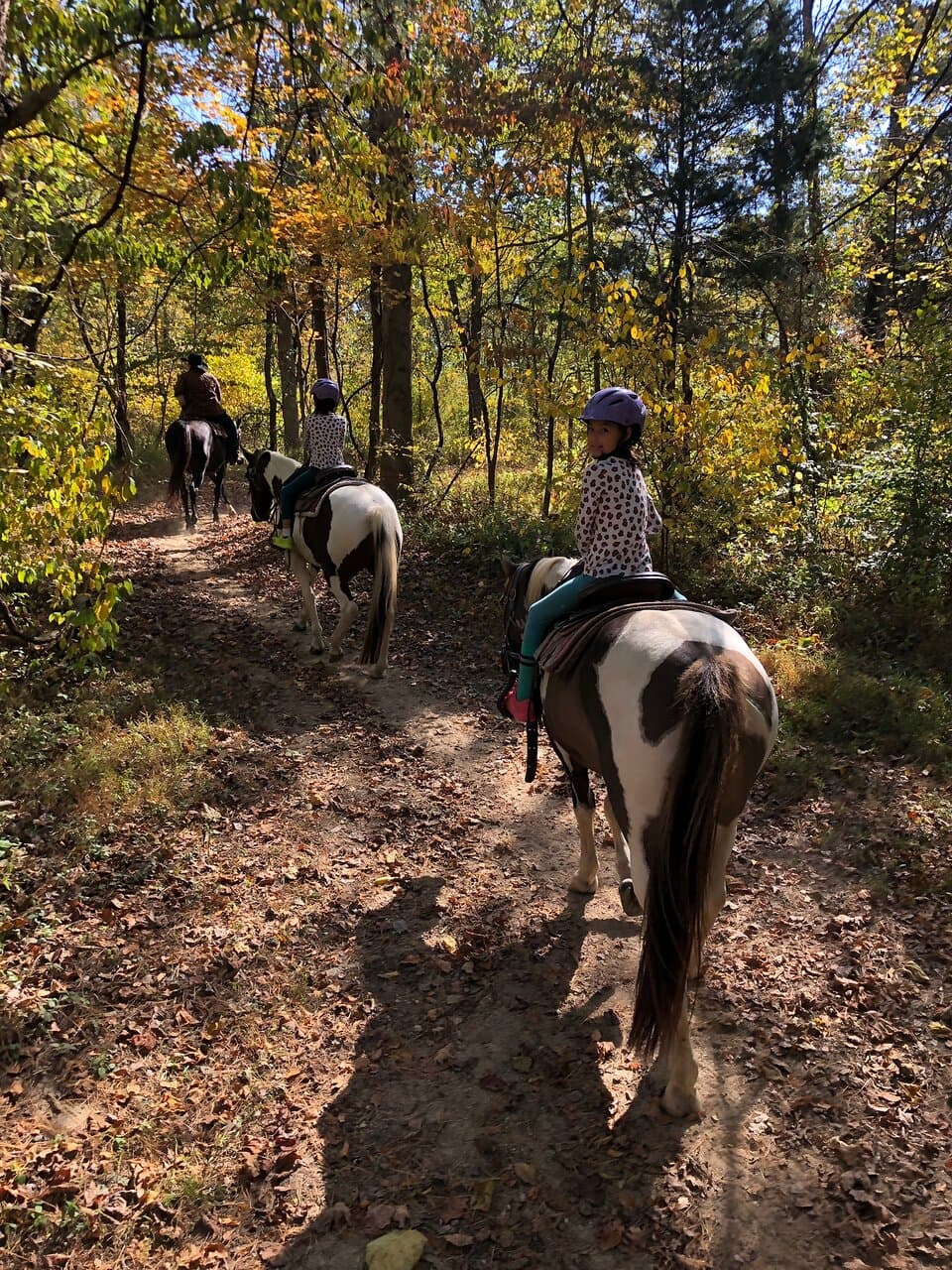Stables at French Lick