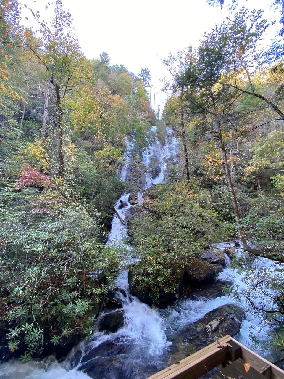 Dukes Creek Falls Trail