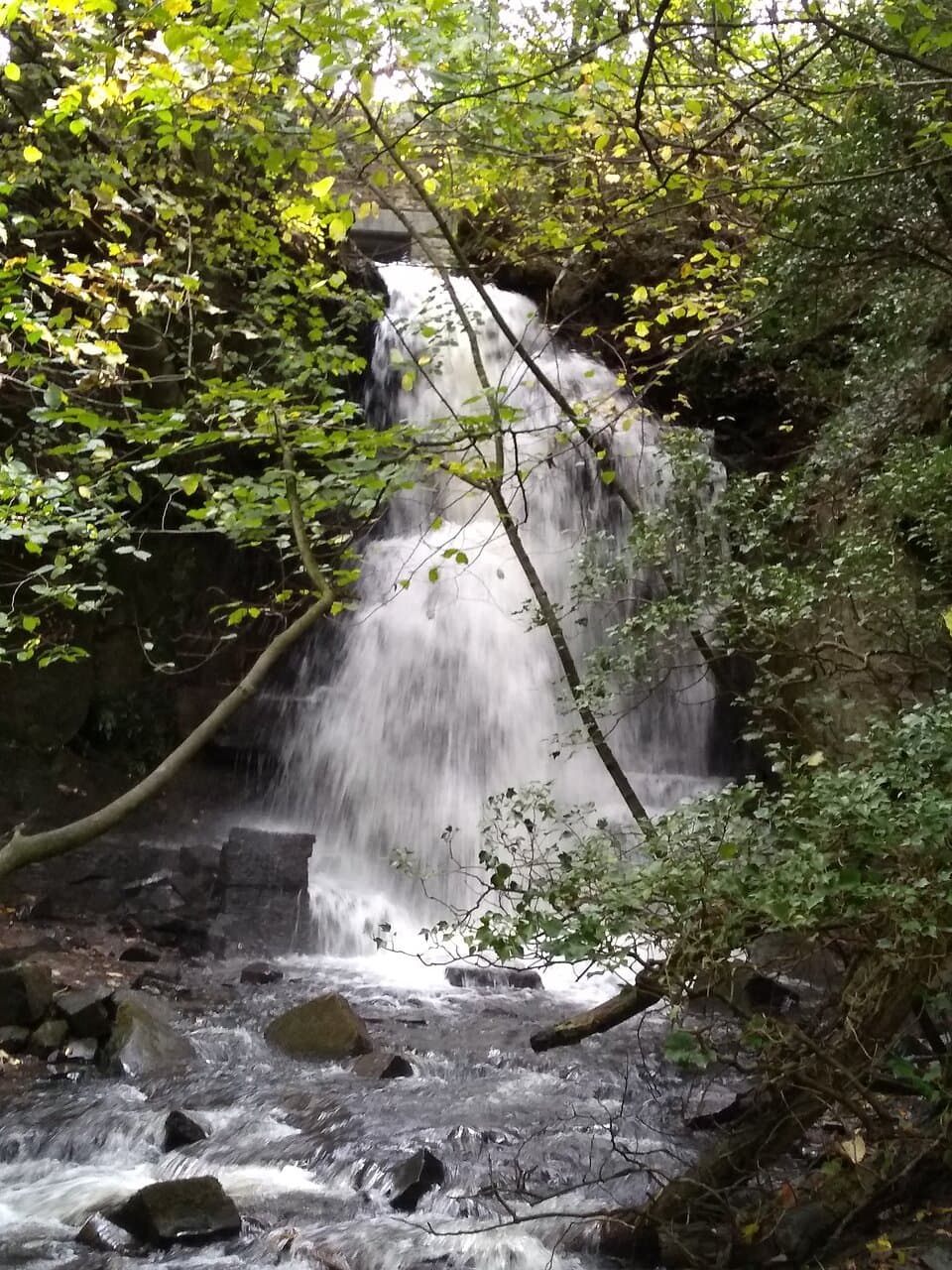 Harmby Waterfall