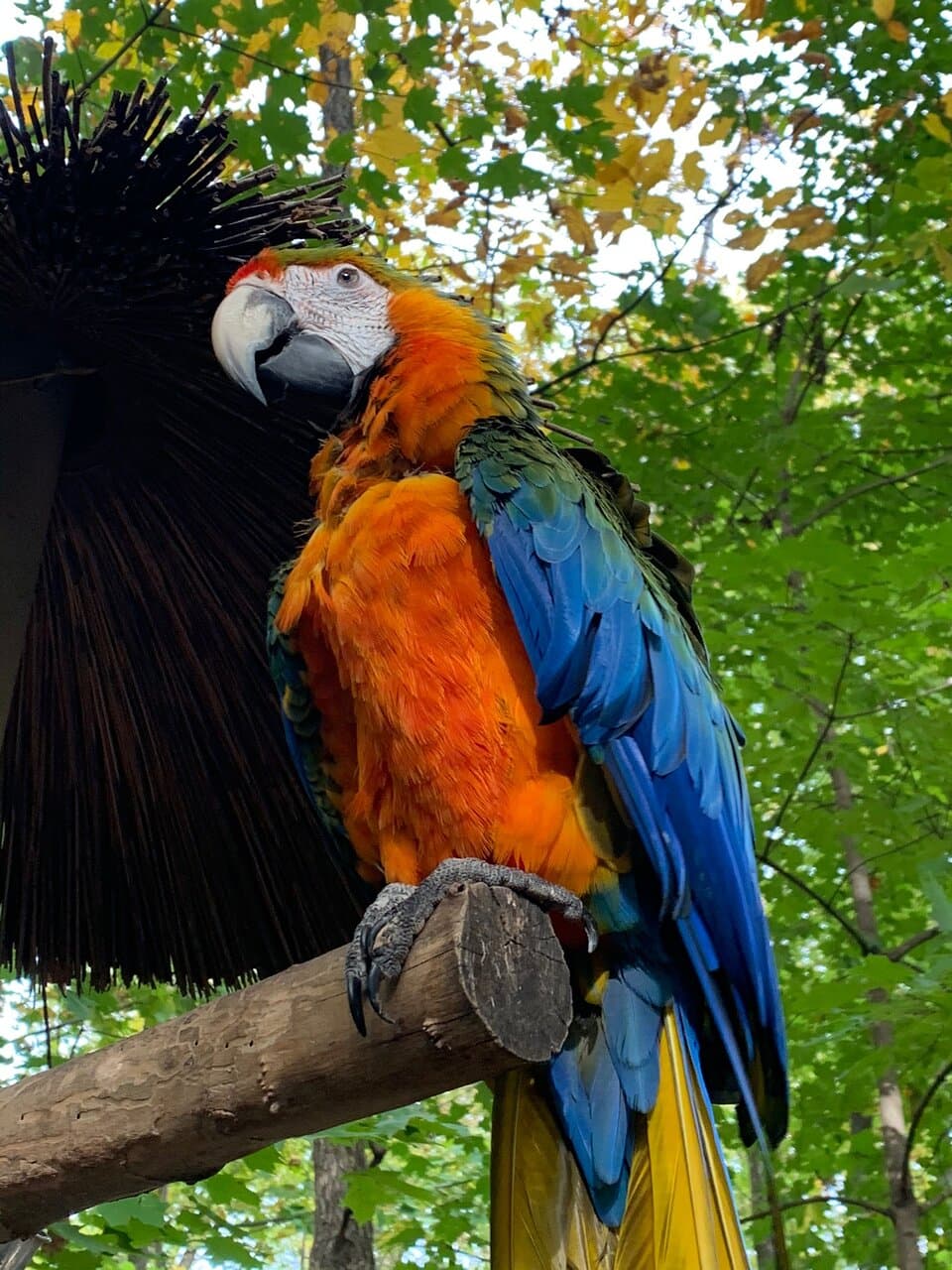 Parrot Mountain & Gardens
