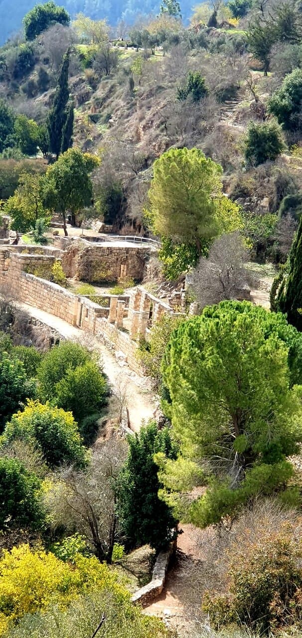 Sataf Natural Trail - Springs area