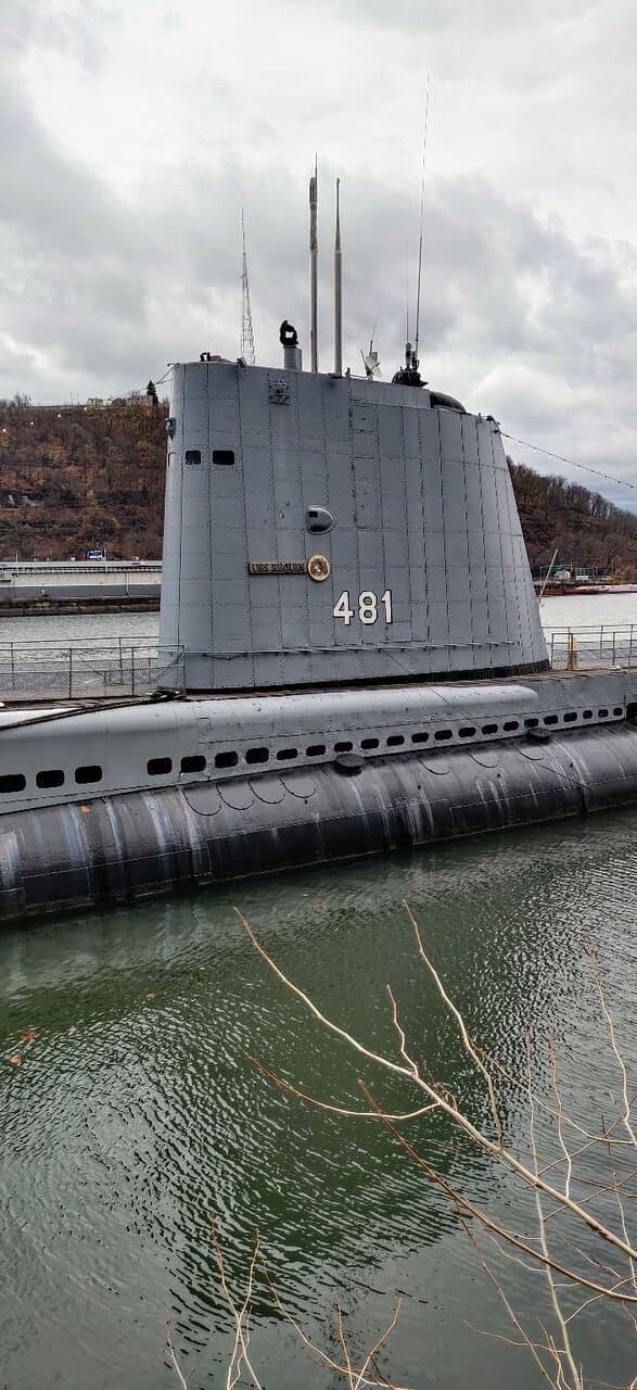USS Requin