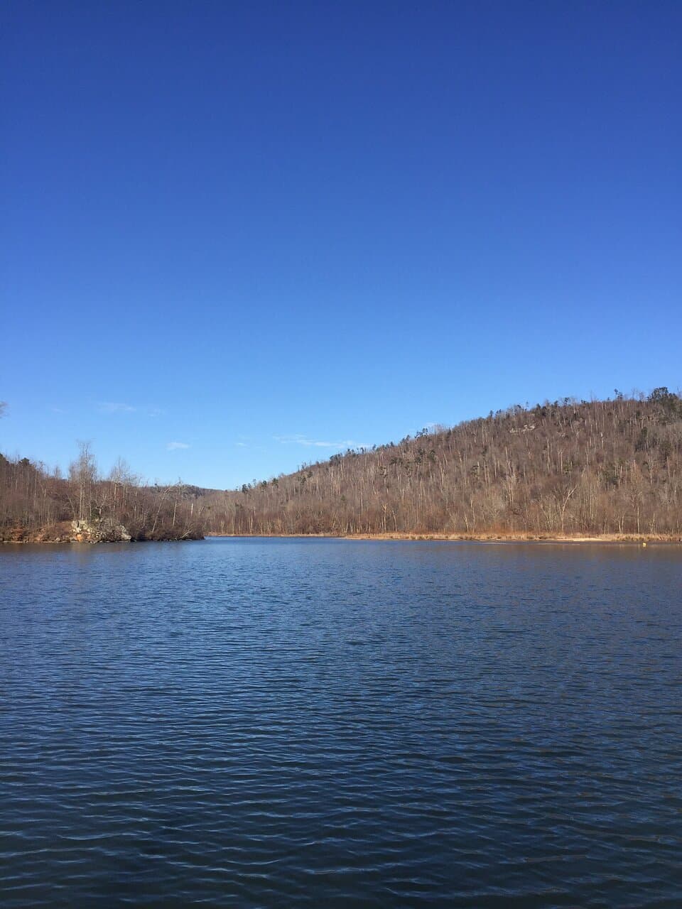 Buck's Pocket State Park