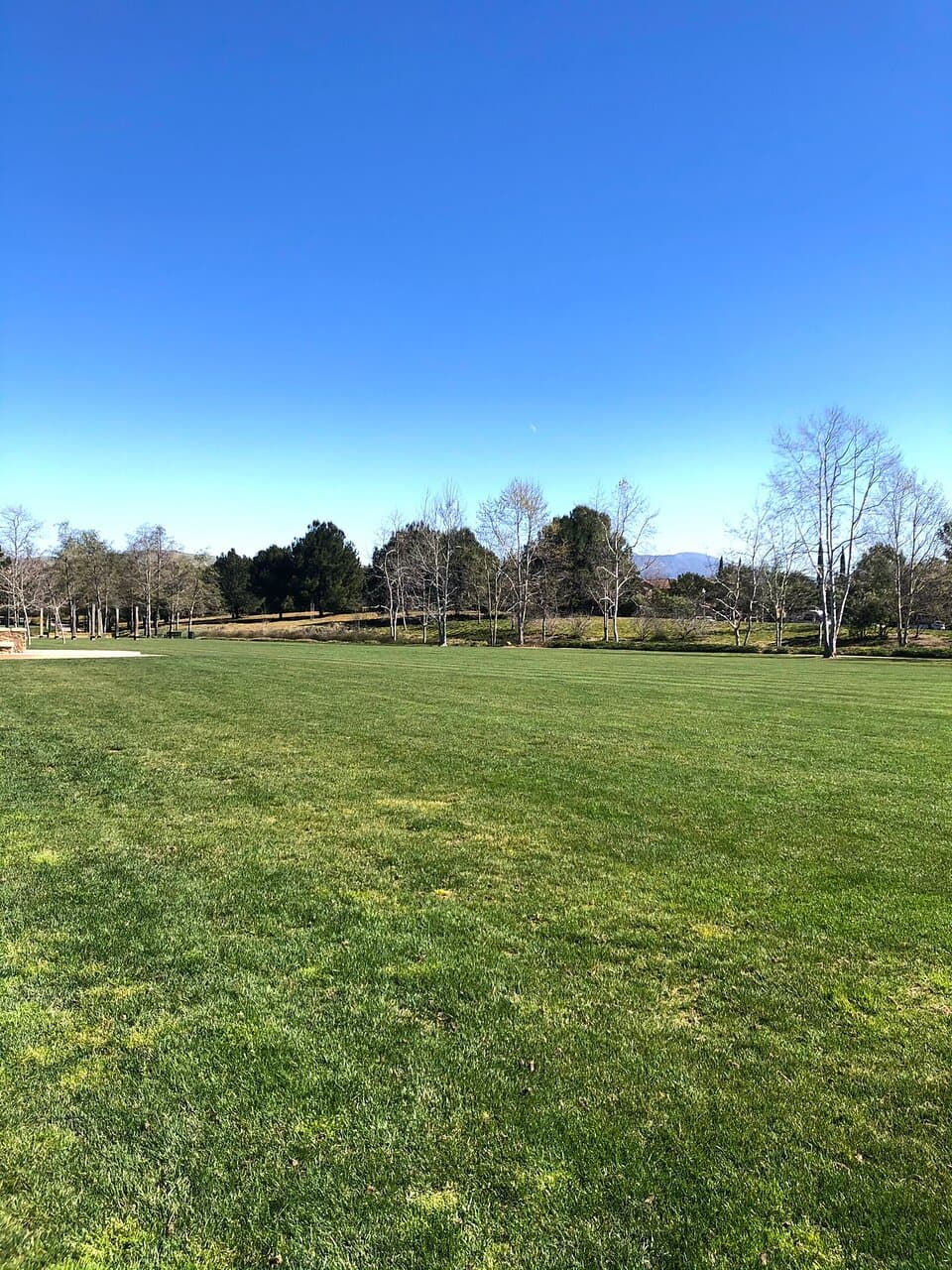 Jeffrey Open Space Trail