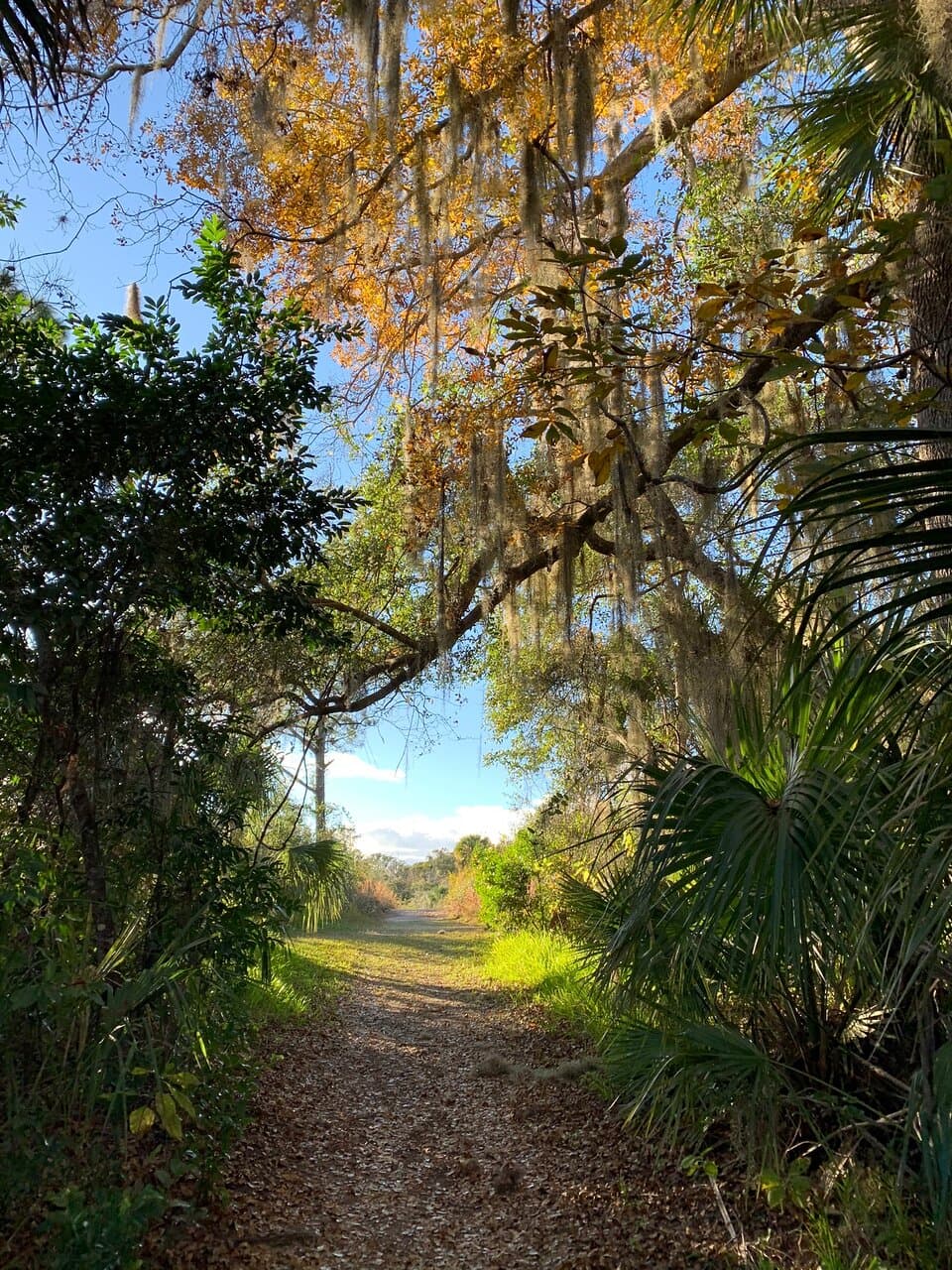 Beautiful Florida
