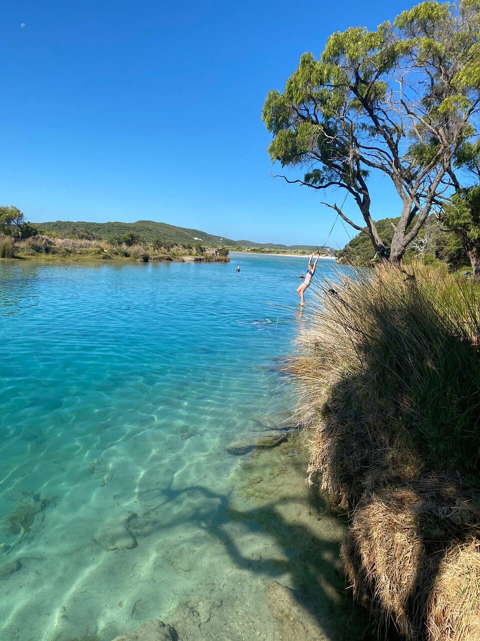 Can easily get to little island. Rope swings for kids