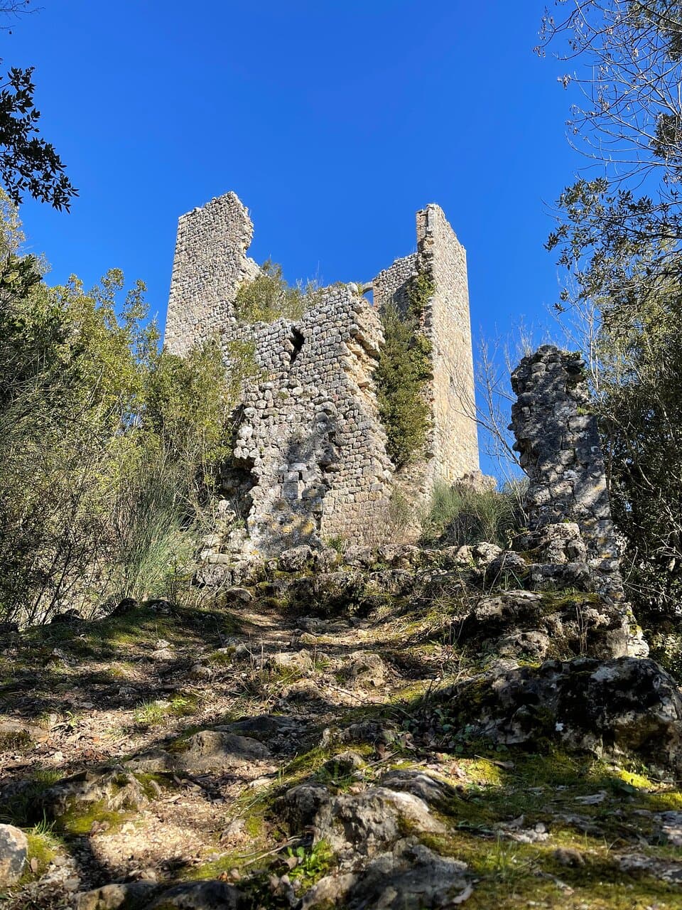 Strada d'accesso al castello