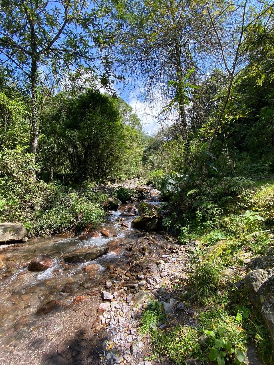 Quebrada de San Lorenzo Reserva