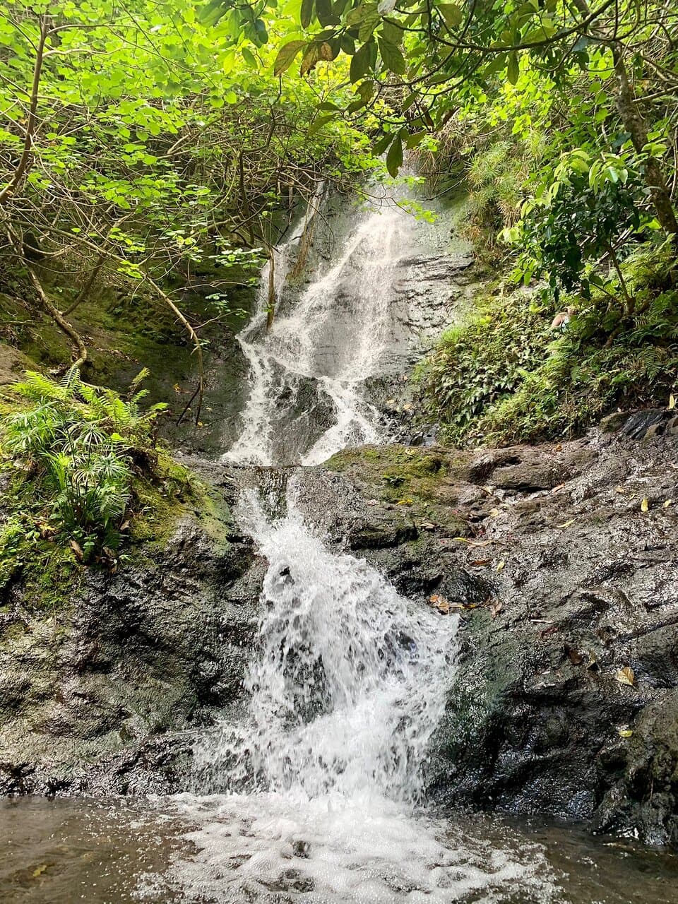 Likeke Falls Honolulu