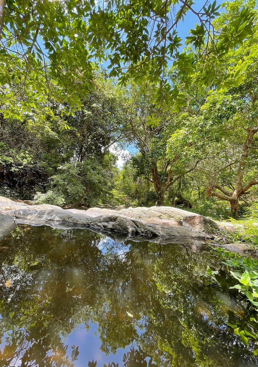 The Silvermine Waterfalls at Mui Wo can be quite lovely but there's  not much to see  during the dry season. The waterfall itself was almost non-existent when we were there but this is one of the prettier sections lower down where a few pools remained.