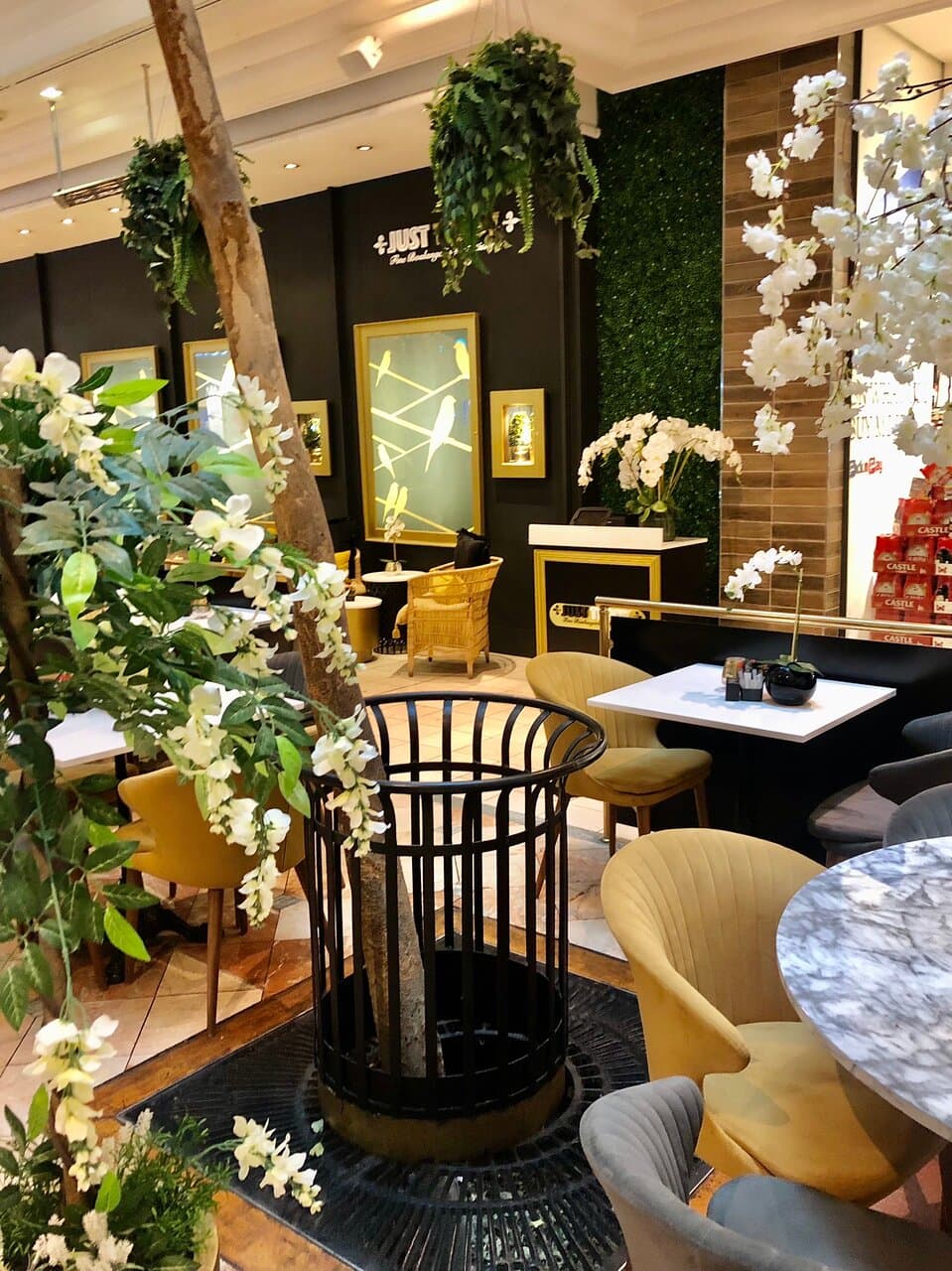 Just Teddy Hyde Park