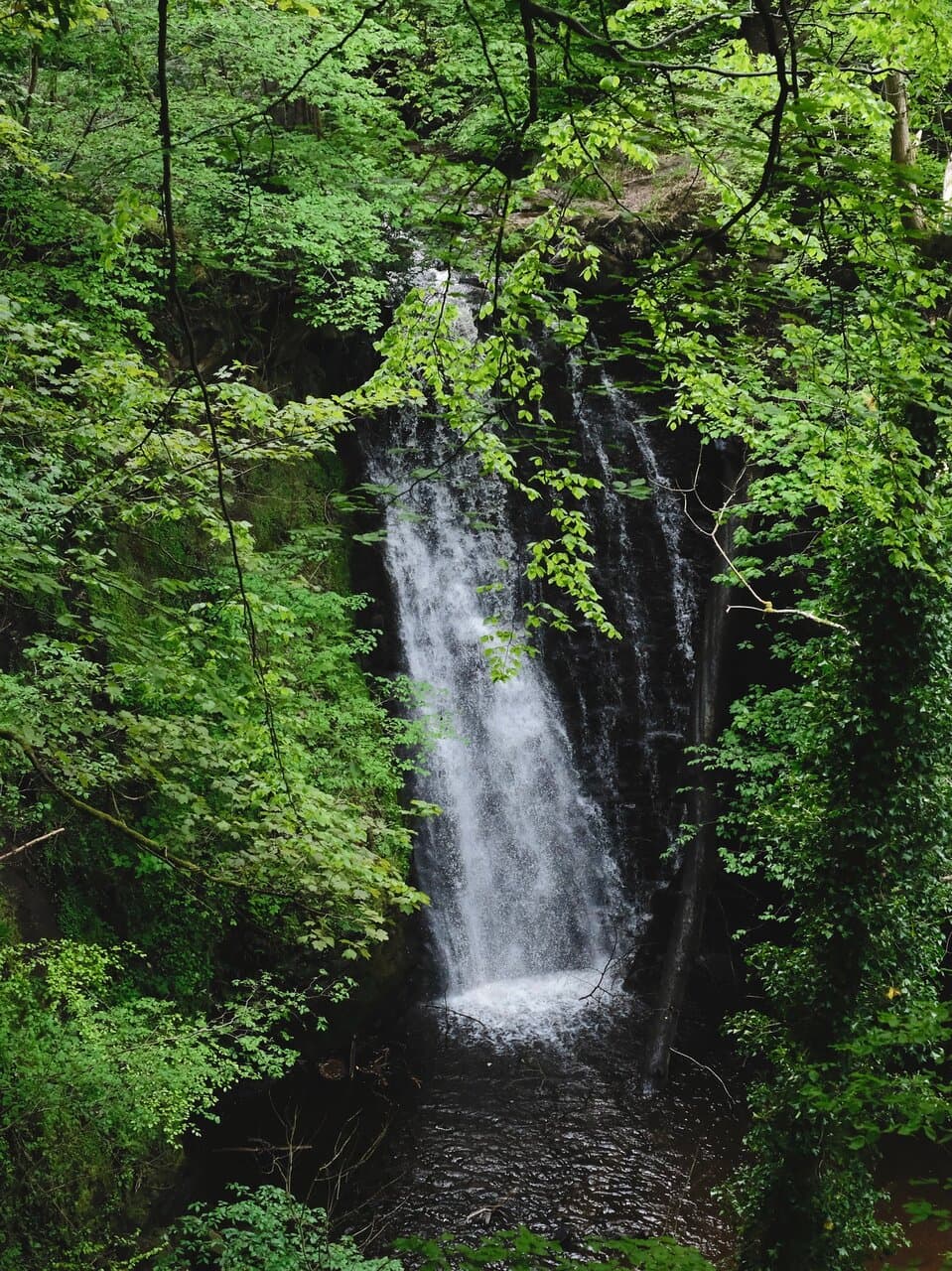 Falling Foss Waterfall and Tea Garden
