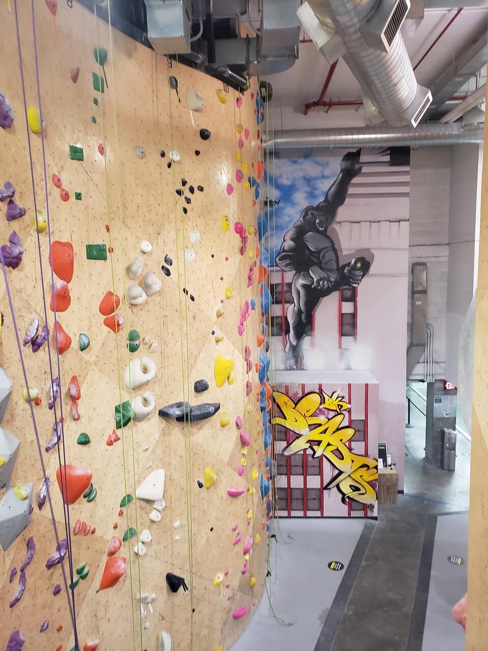 Climbing with King Kong