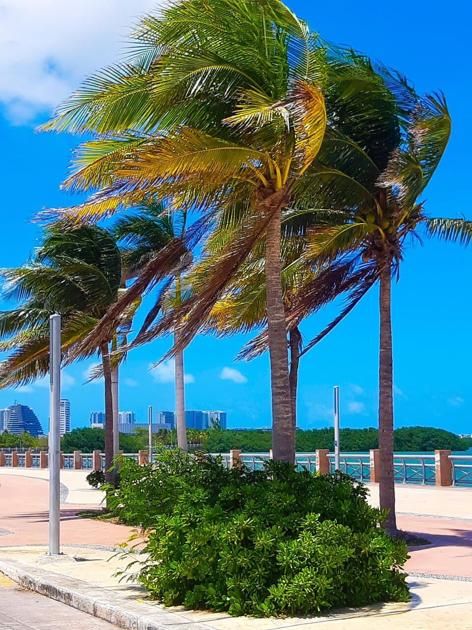 Me fui a dar una vuelta por el Malecón, no es lo más bonito de Cancún pero tiene su encanto