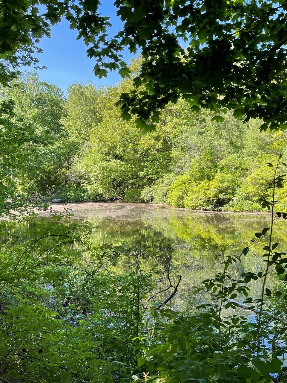 Photos of trails and points within Marblehead Neck Wildlife Sanctuary.