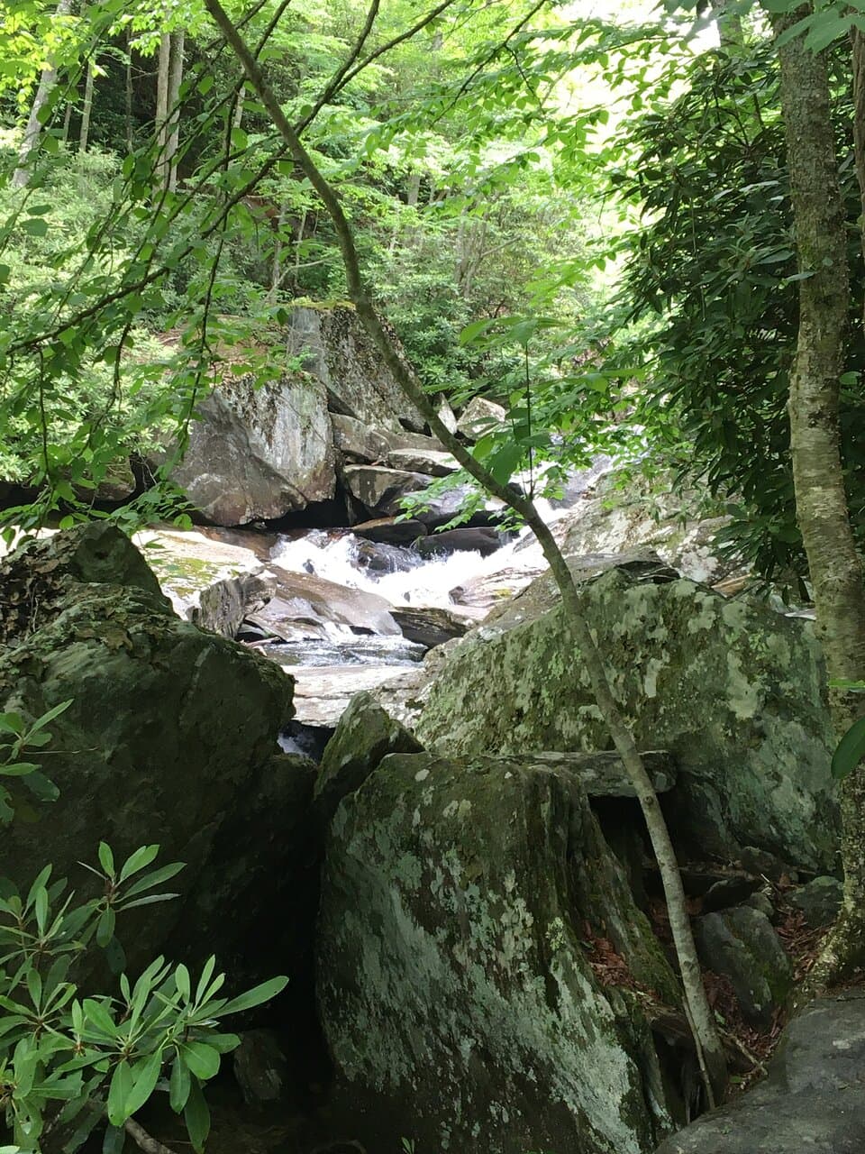 Waterfall on Boone Fork Trail