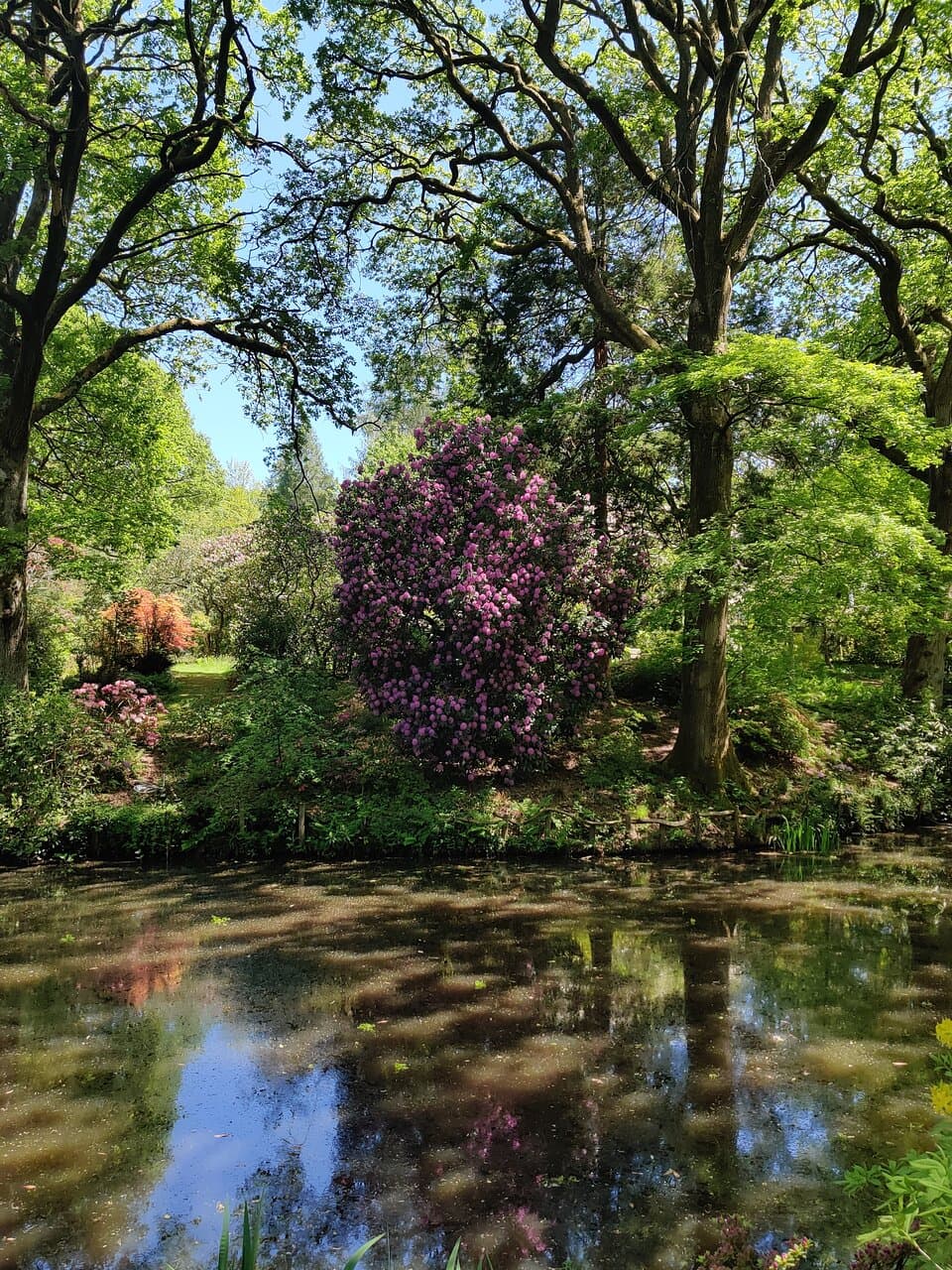 Ramster Garden