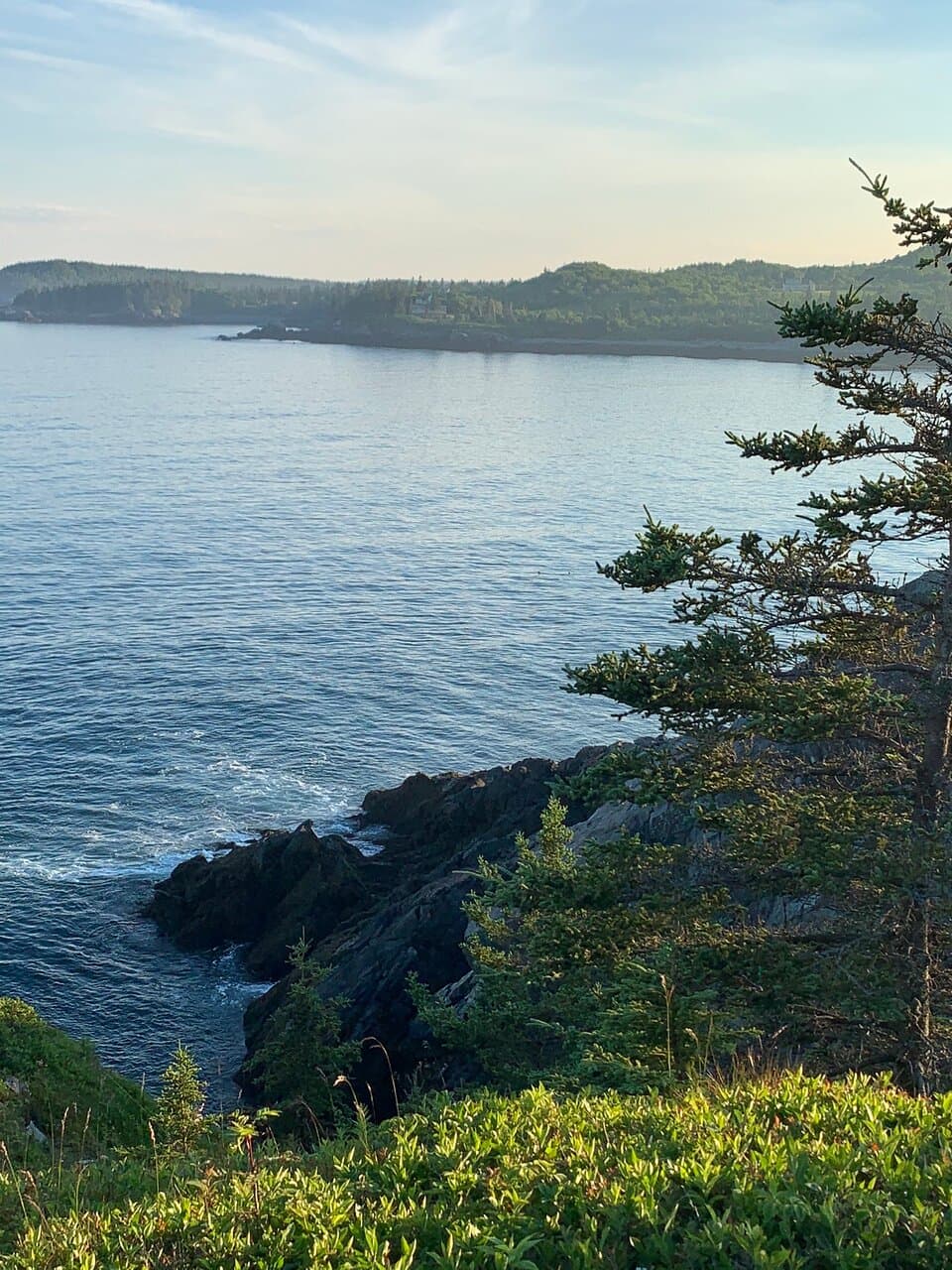 Hamilton Cove Preserve