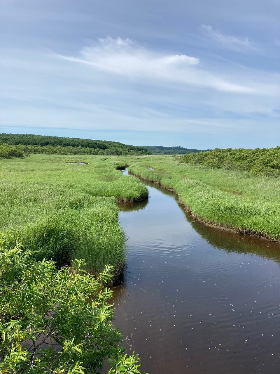Kiritappu Wetland