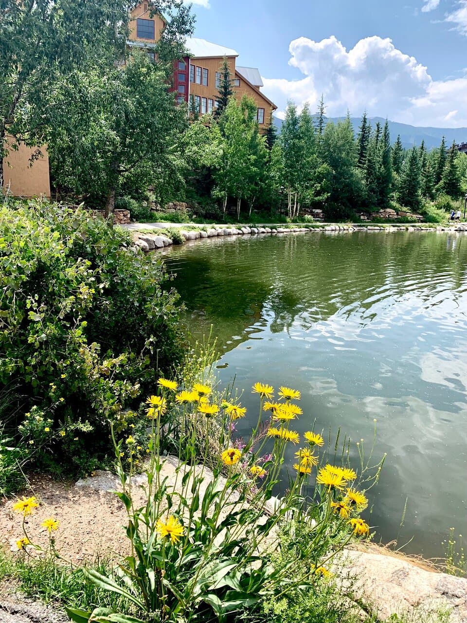 Beautiful area behind Main St with lots of patio dining  and views of the river.