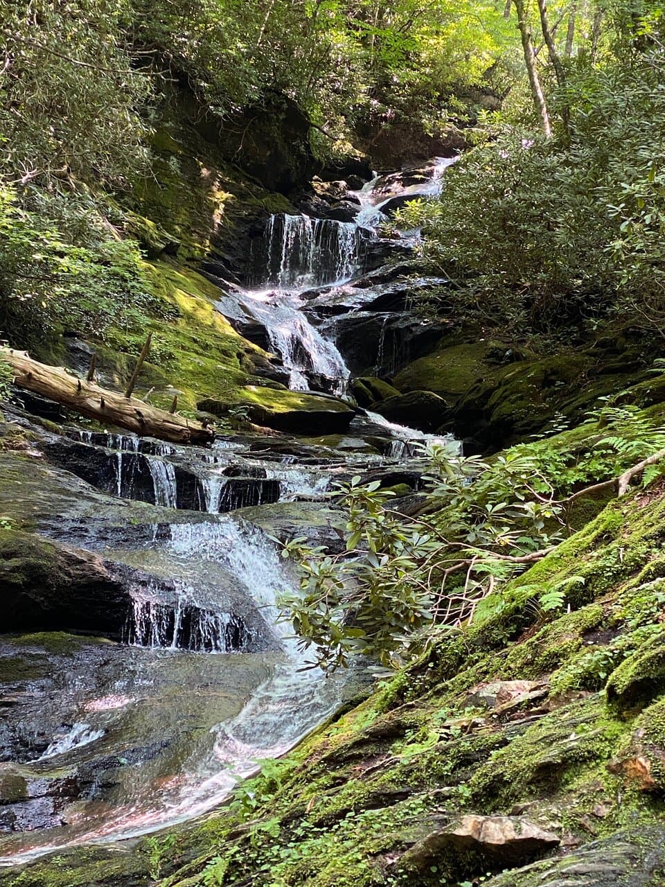 Dalls and along the trail