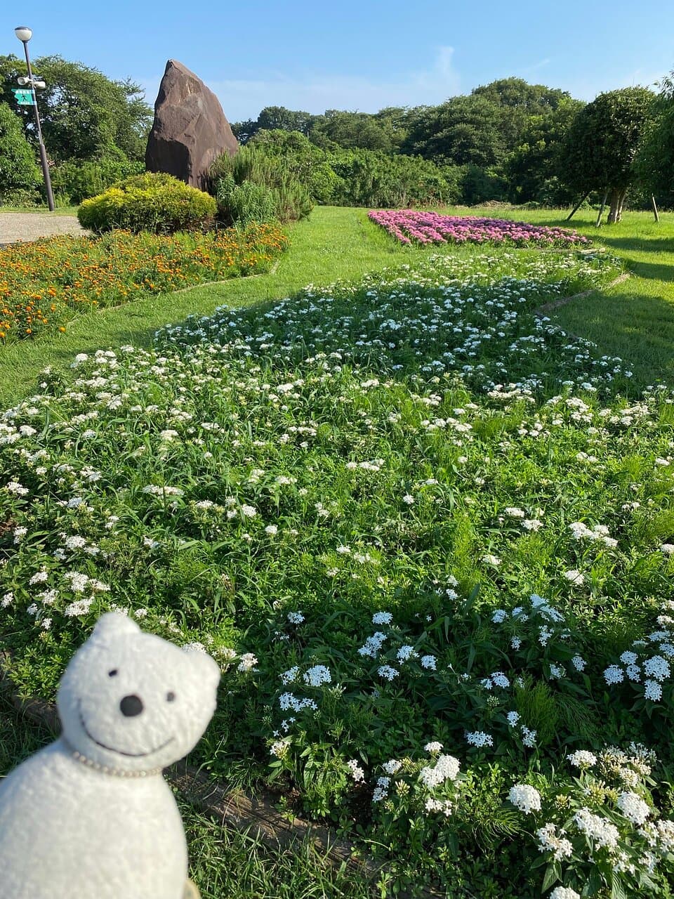 クマ散歩：相模三川公園に品行方正なクマ出没 The Bear took a walk around Sagami Sansen Park！♪☆(^O^)／ #おでかけ #思い出