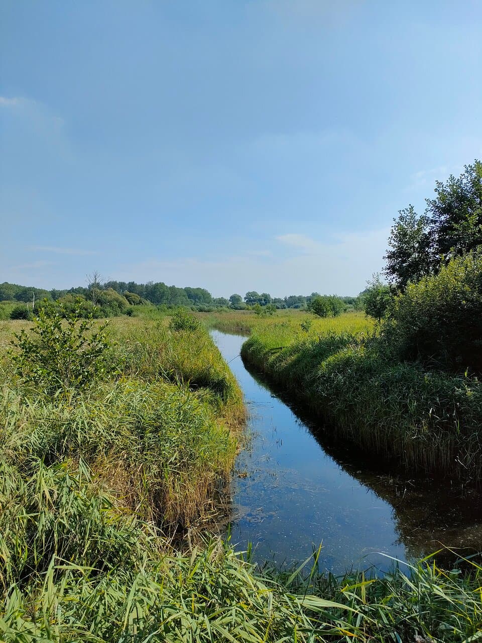 Blacka Moor Nature Reserve